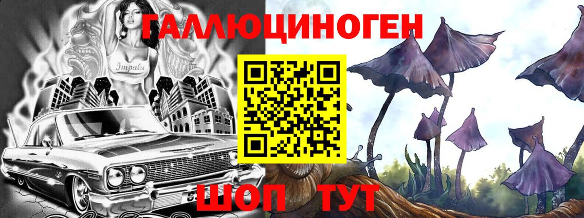 Галлюциногенные грибы Psilocybine cubensis Белореченск